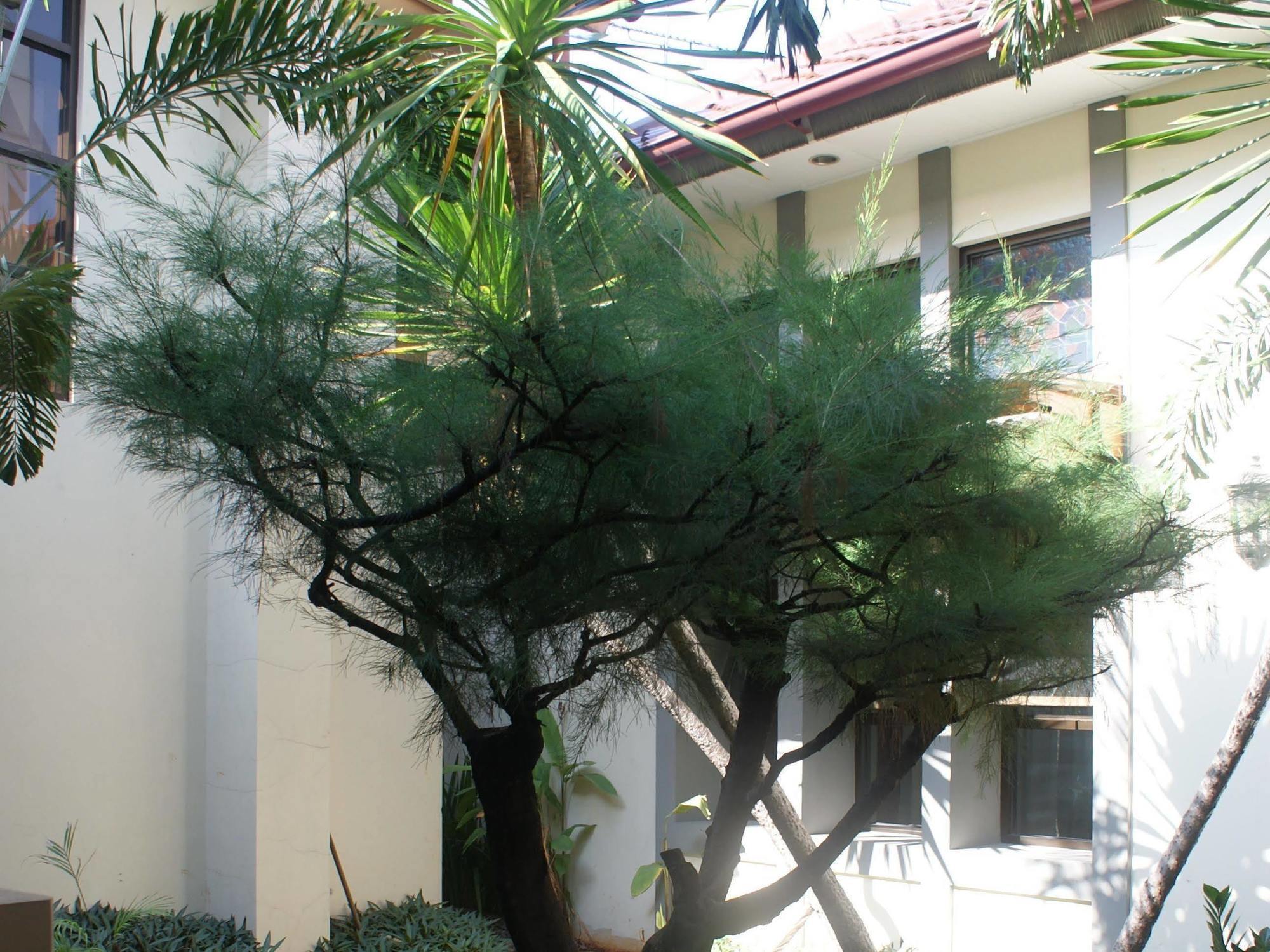 Sofyan Hotel Soepomo Jakarta Extérieur photo